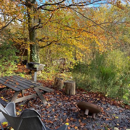Chalet Tropical Avec Bain A Bulles - In The Woods Gesves Esterno foto